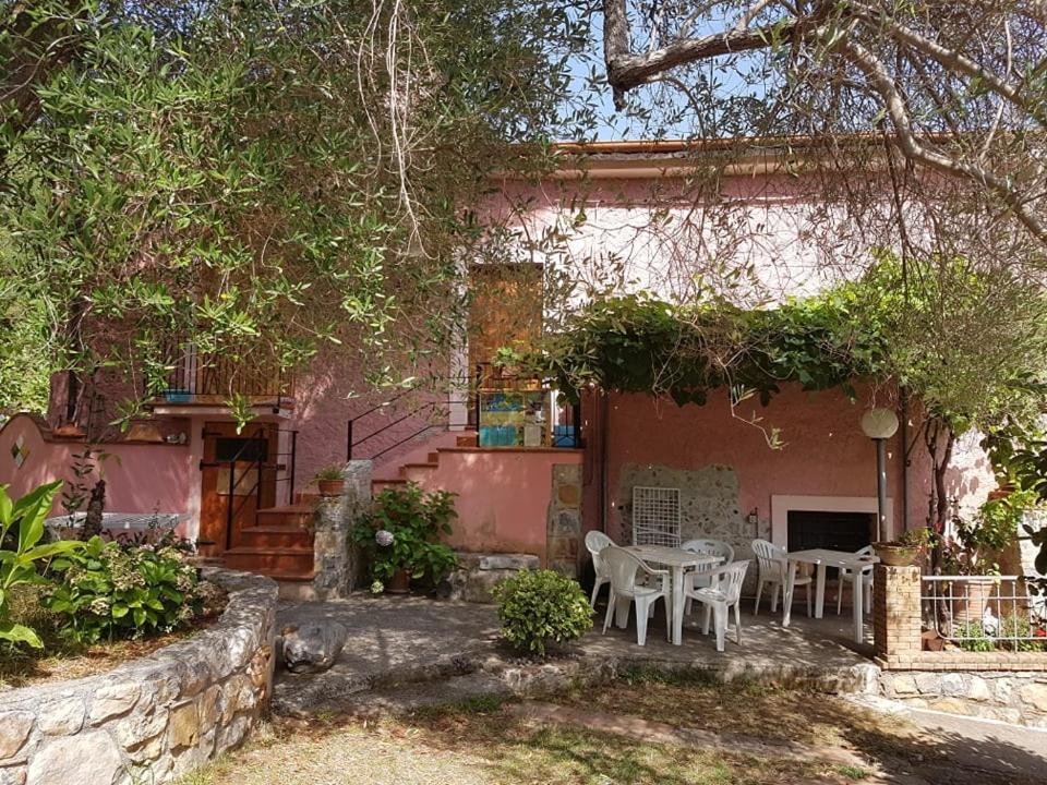 B&B Il Vecchio Gelso Palinuro Esterno foto