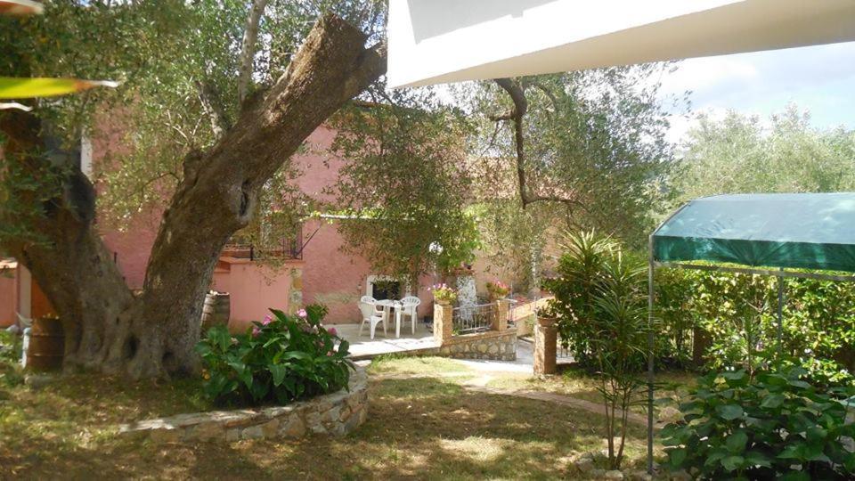 B&B Il Vecchio Gelso Palinuro Esterno foto