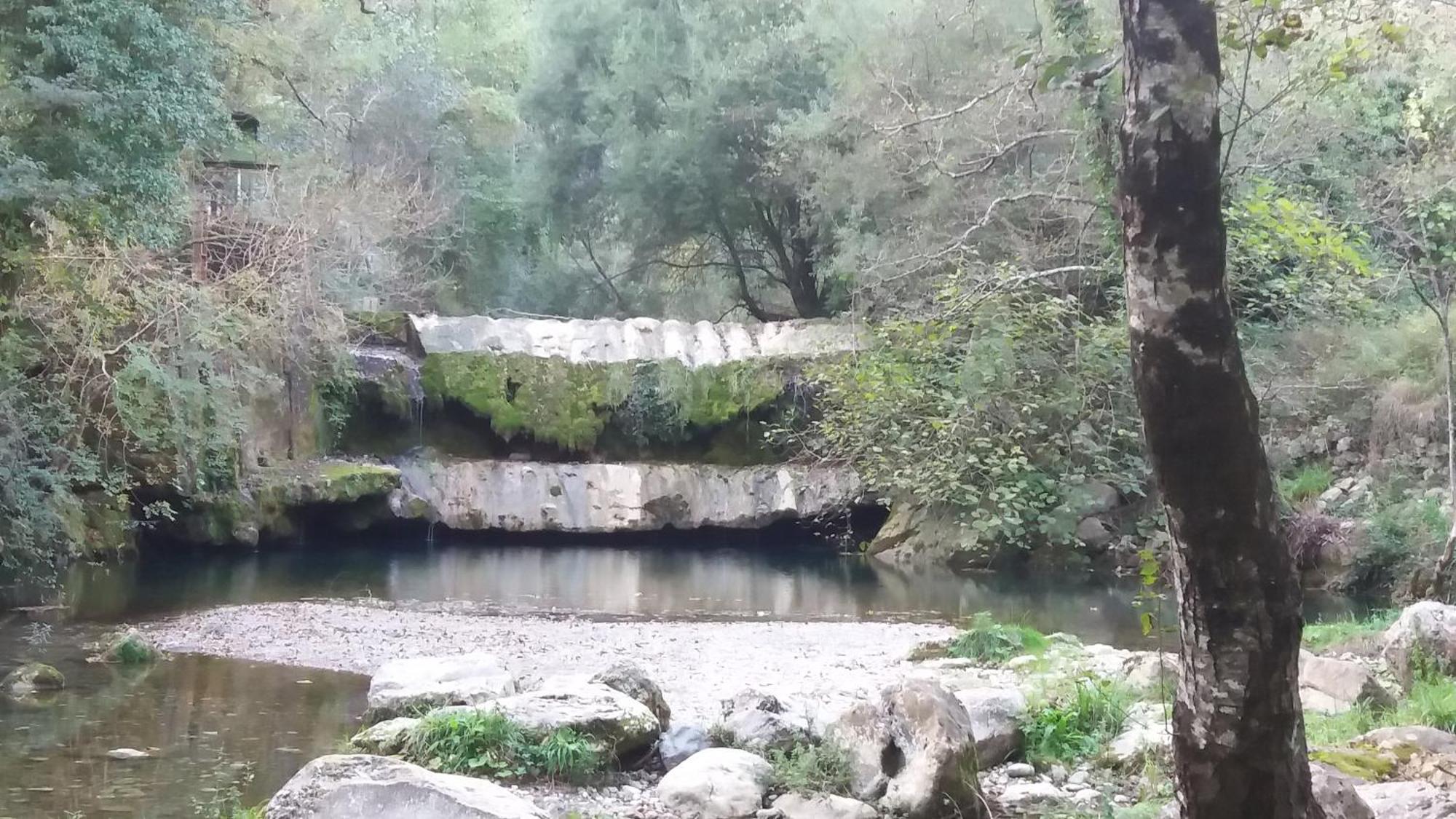 B&B Il Vecchio Gelso Palinuro Esterno foto